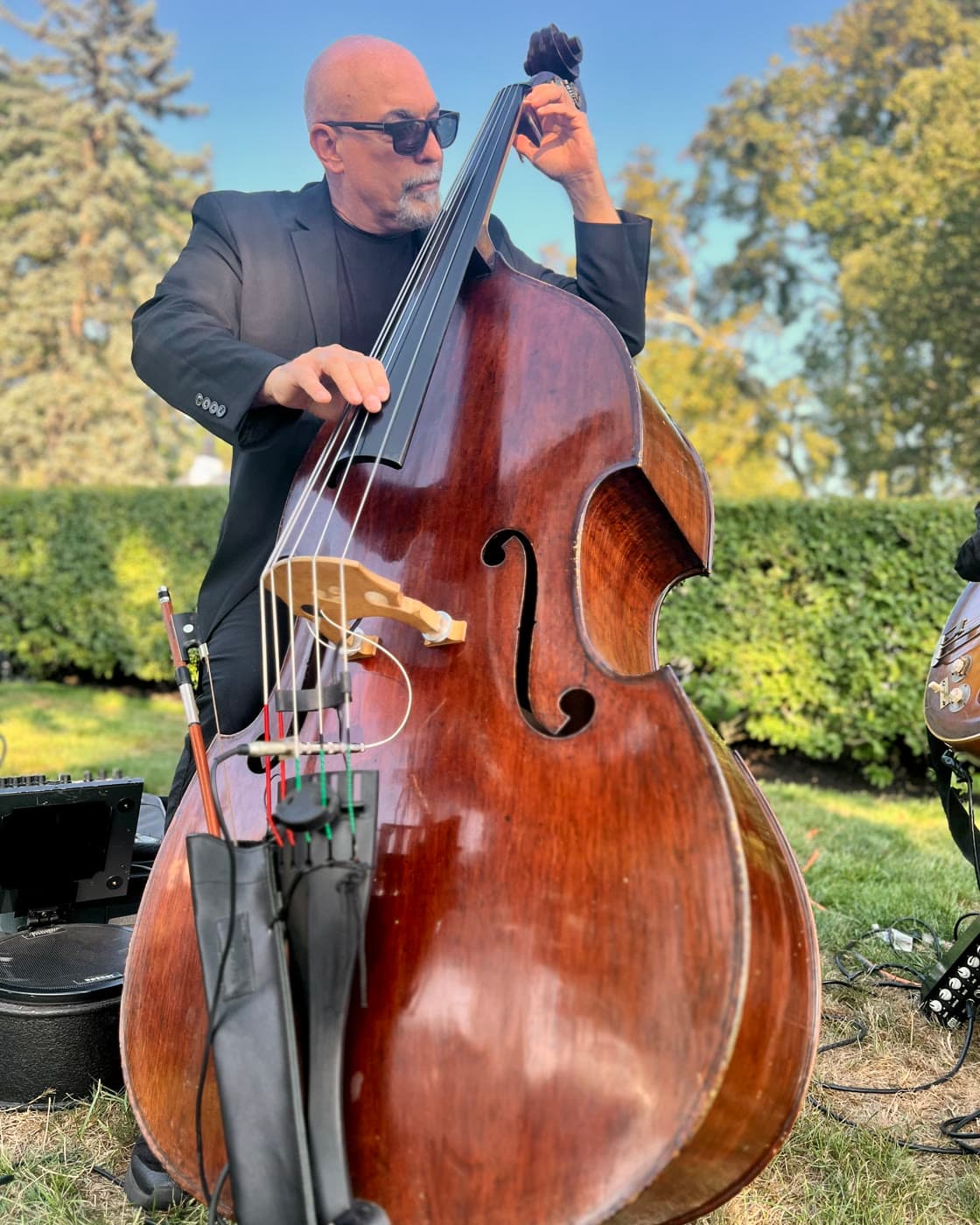 Live Jazz + Pop Combos
