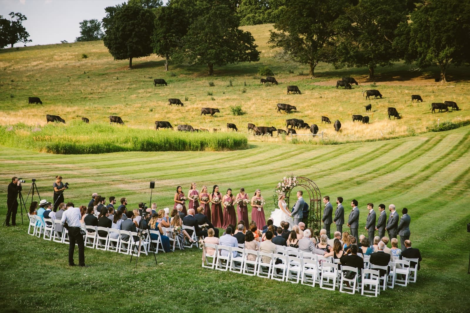 A ceremony on the lawn at The Barn at Gibbet Hill, cattle grazing on the hill behind the guests