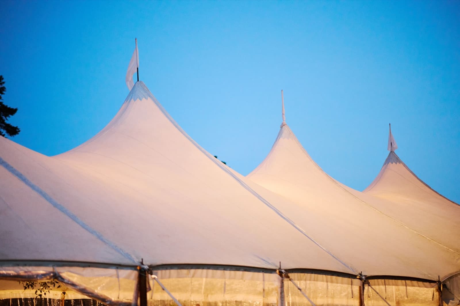 The peaks of the Crane Estate sailcloth tent glowing at dusk against a blue sky