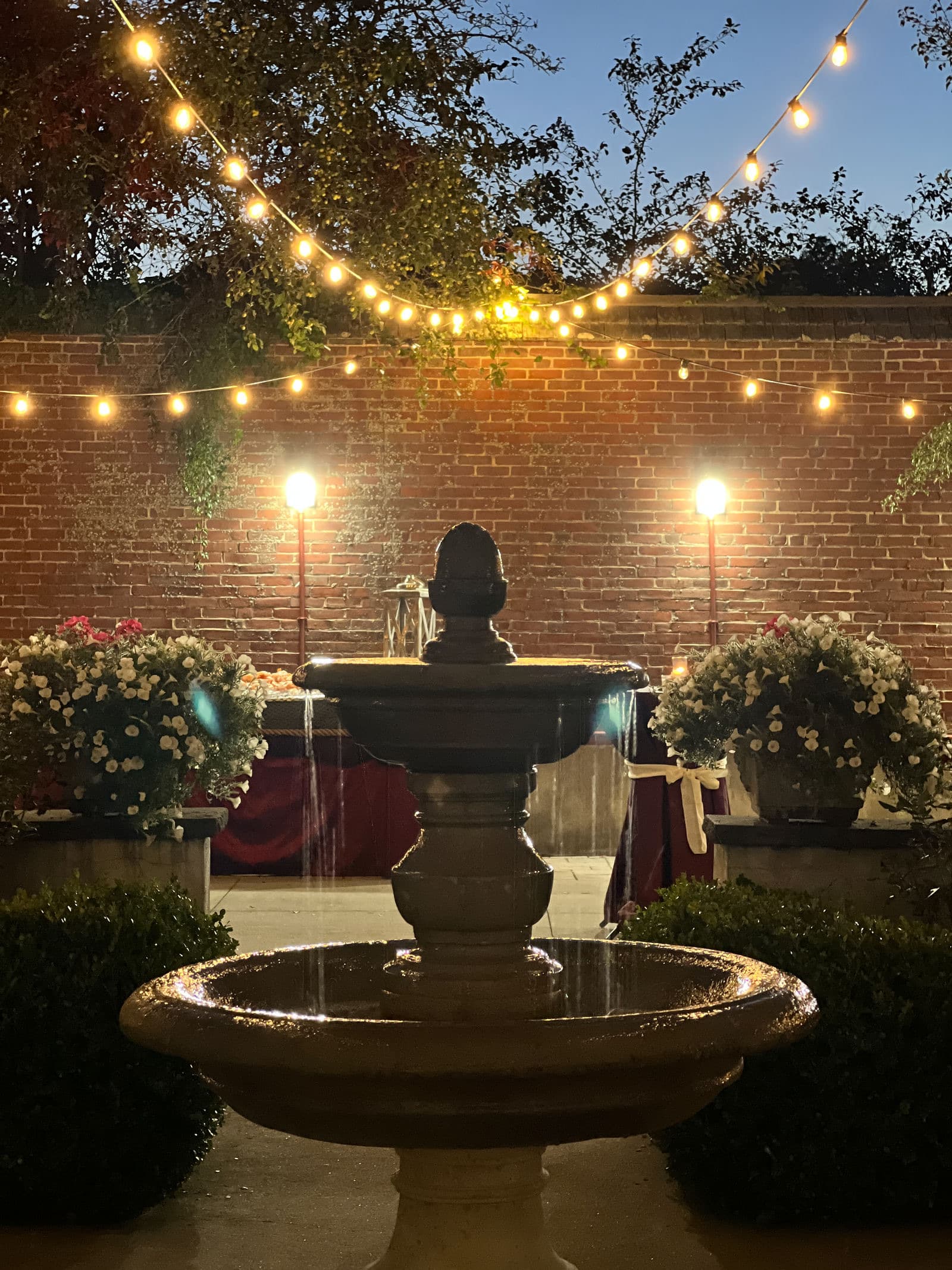 The fountain in the Misselwood courtyard under string lights at night