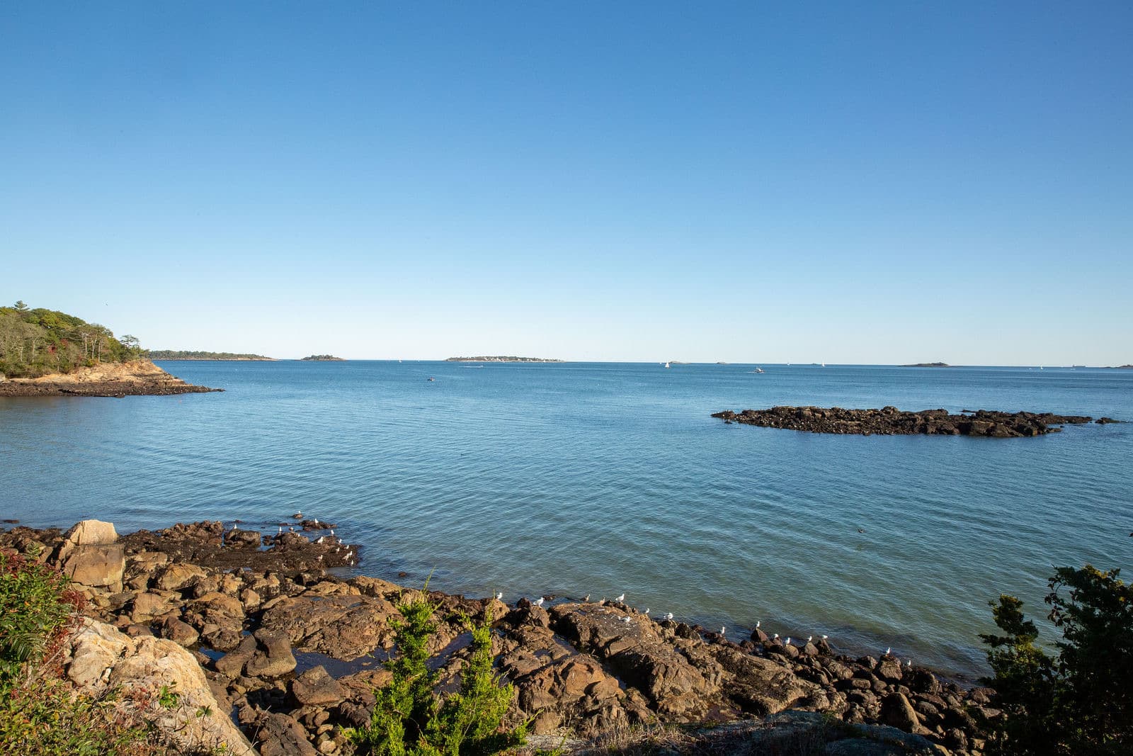 The rocky shoreline and open water below the Misselwood lawn