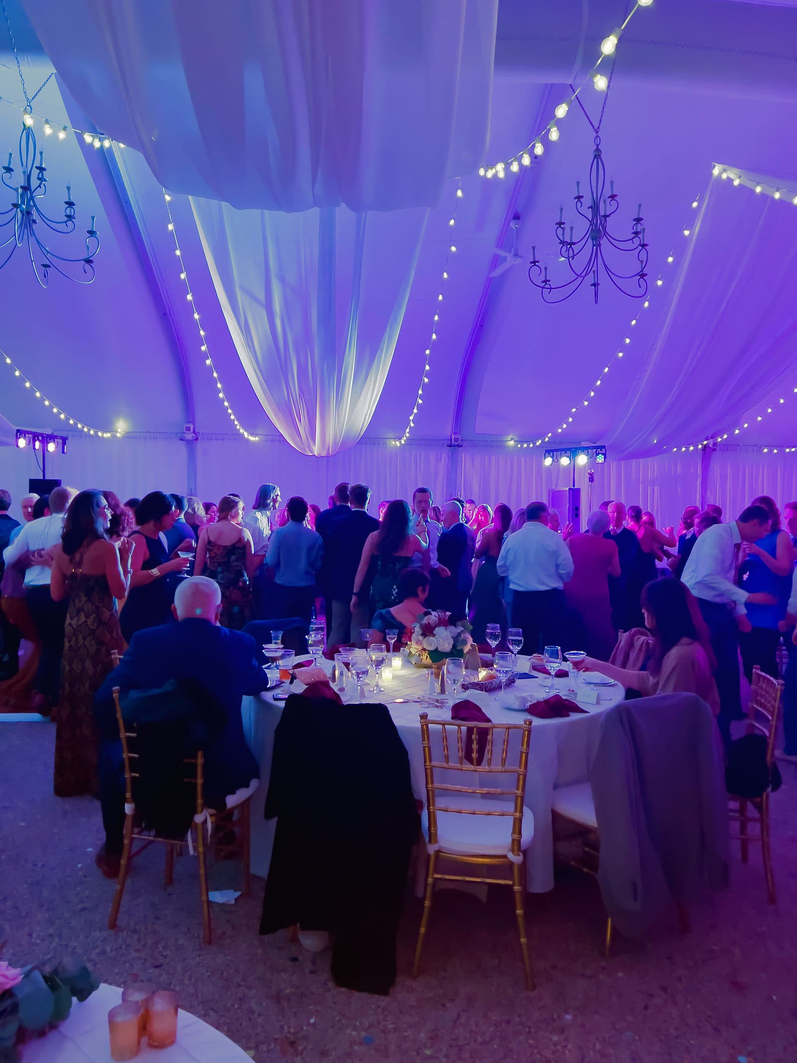 The draped ceiling and chandeliers of the Misselwood tent in purple uplighting over the dinner tables